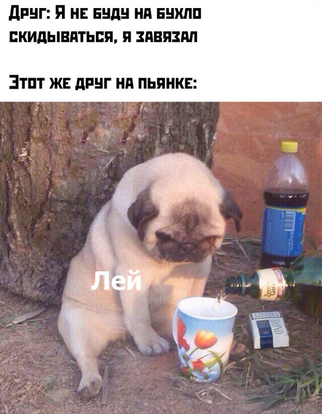 Заседание клуба аморалов объявляется открытым