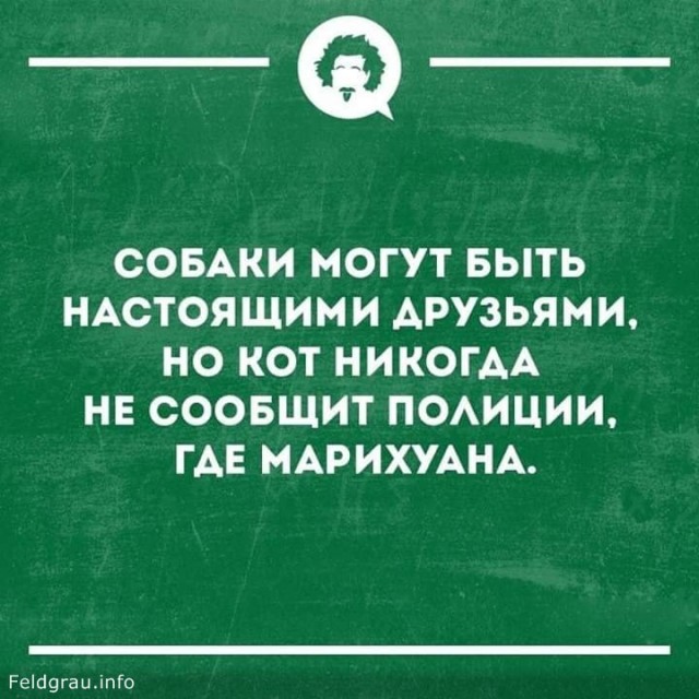 Давайте чуточку развеемся. Оффтоп