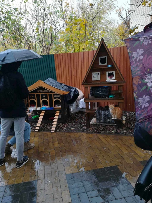 ЯП вокруг света. Германия, Австралия, Китай...