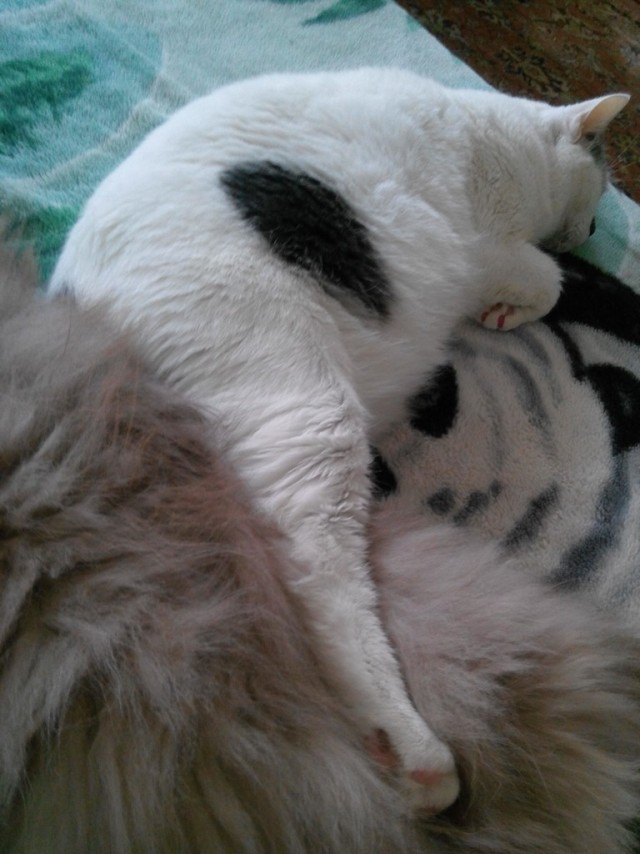 Вот и я сподобился