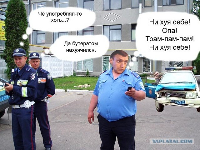 Фотожаба:На связи