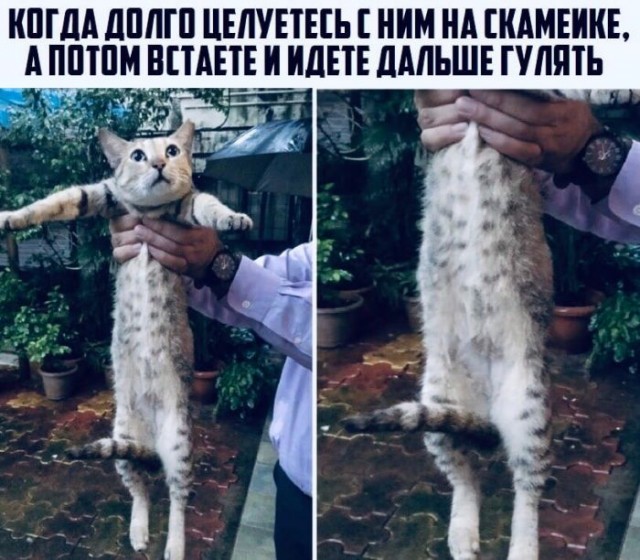 Пятница. И немного слегка пошлых картинок с надписями и без 16+ (06.11)