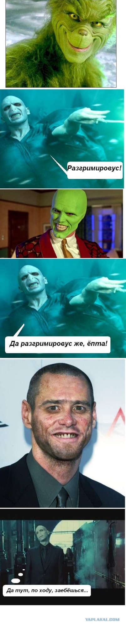 Ярость Волан-де-Морта