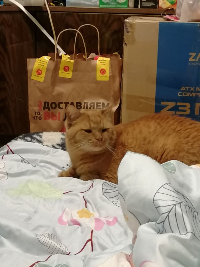 Подборка забавной живности