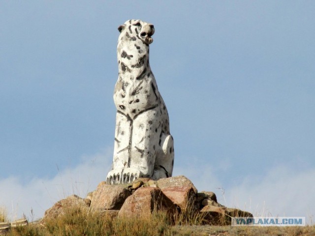 Корова замерзла на ходу в окрестностях г. Нур-Султан (Казахстан)