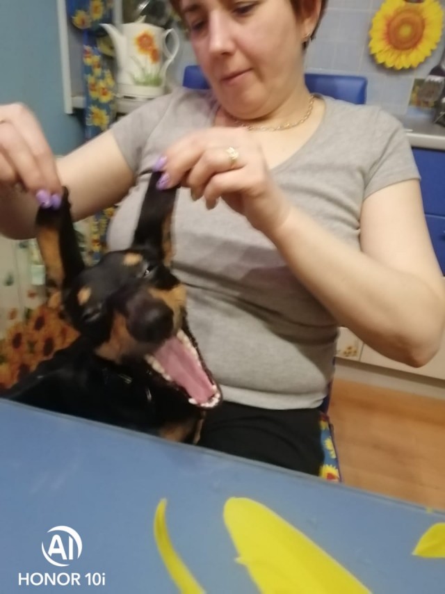Ах ты ж мой ушастенький!