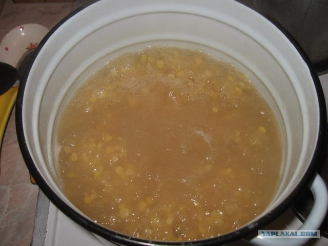 Ноги, хвосты… главное – крылья!, Кура-International–2, куриные крылья