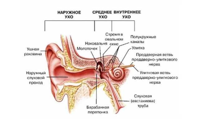 Как правильно открывать напиток в банке