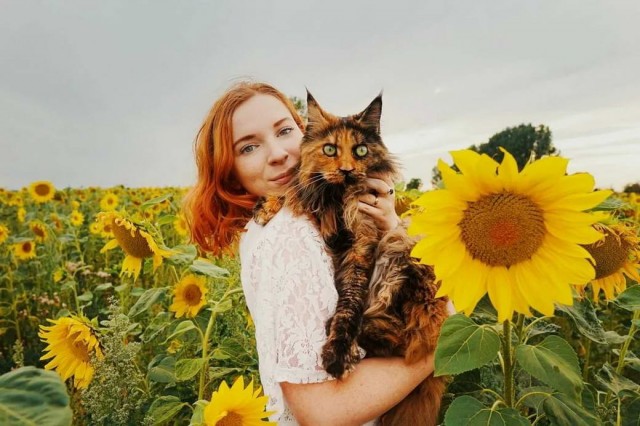 Девушки котовторника