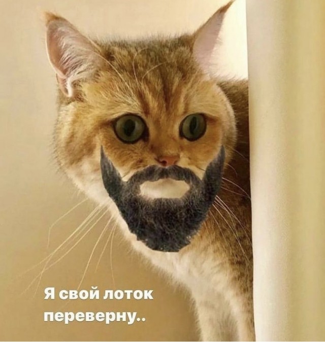 Весёлый полтишок 3.09