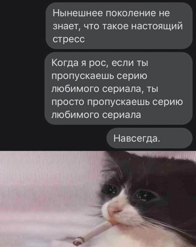 Картинки и мемы для настроения 13.09.2021