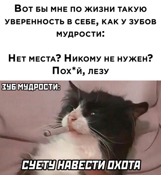 Весёлый полтишок 02.10
