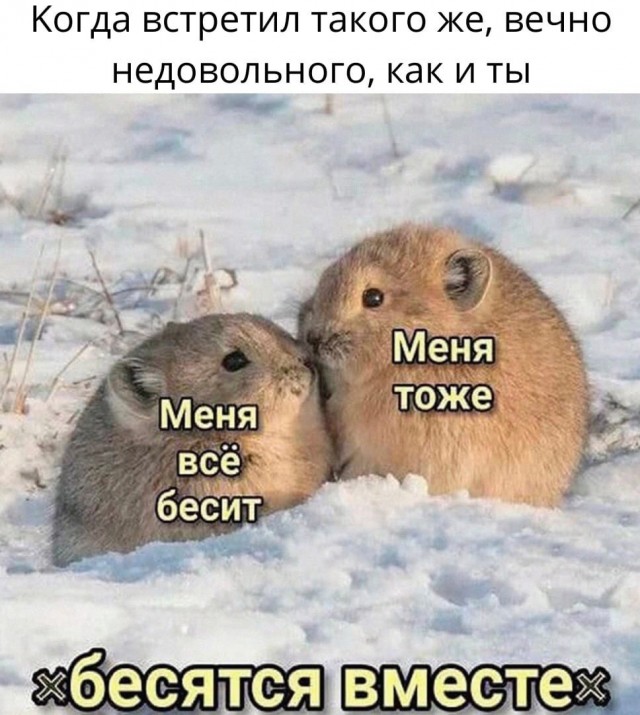 Так себе картинки 15.10.21