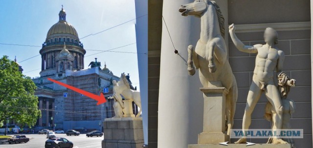 Петербургской блогерше  стало вдруг стыдно