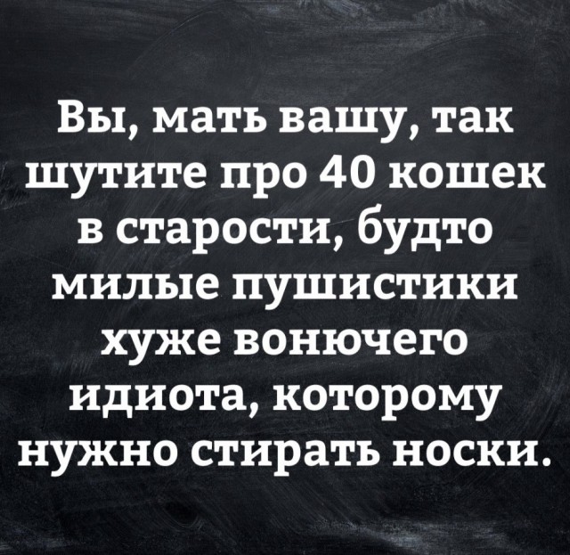Весёлый полтишок 05.11