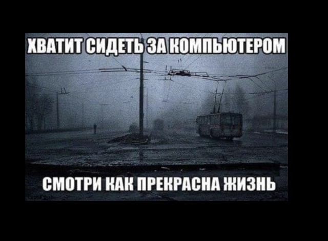 Чуток картинок 18.12.21