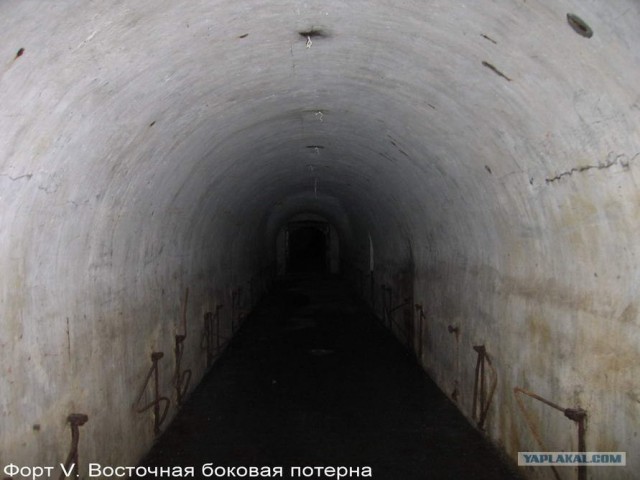 Форты Бреста