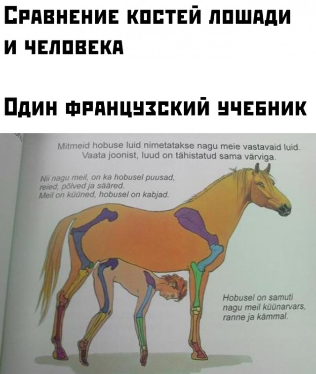 Картинки и мемы для настроения  -  9