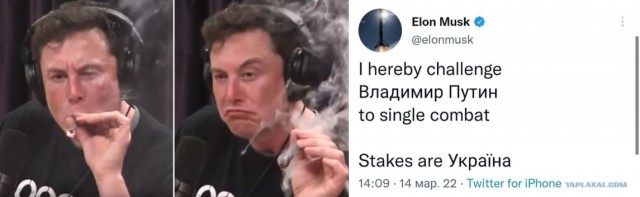Американский миллиардер Илон Маск заявил, что вызывает президента РФ Владимира Путина на поединок, а ставкой будет Украина