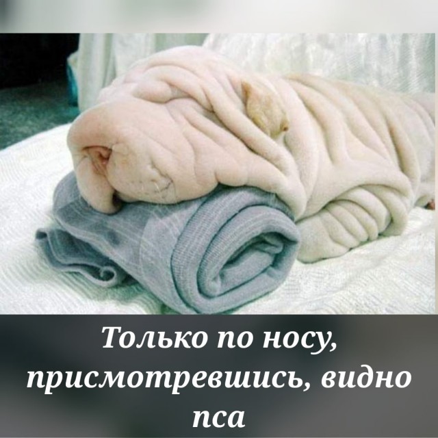 Так себе картинки 09.05.22