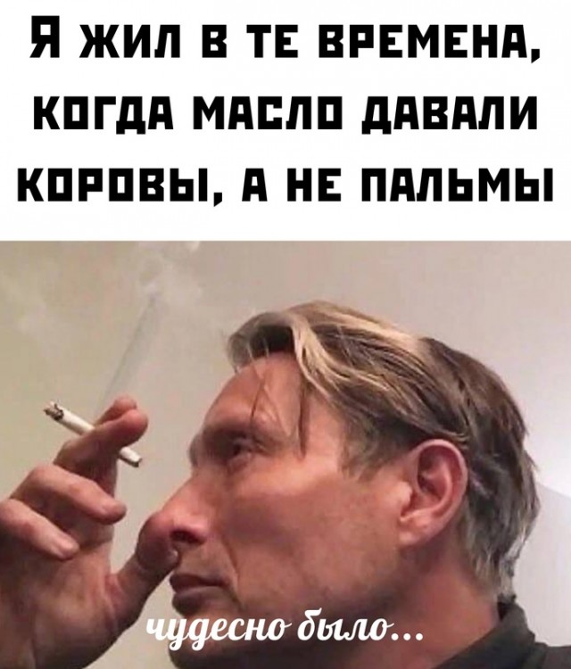 Весёлый полтишок 27.06.22