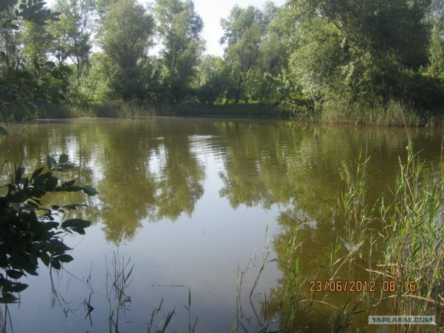 Утреняя рыбалка