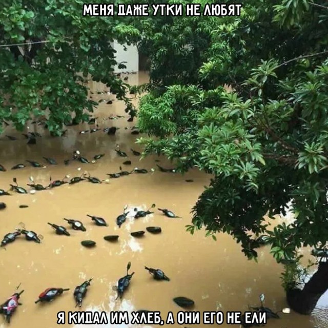 Картинки и мемы. Выходные близко, близко...