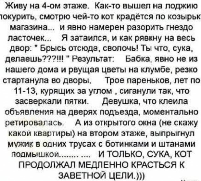 Картинки и мемы, всем хороших выходных