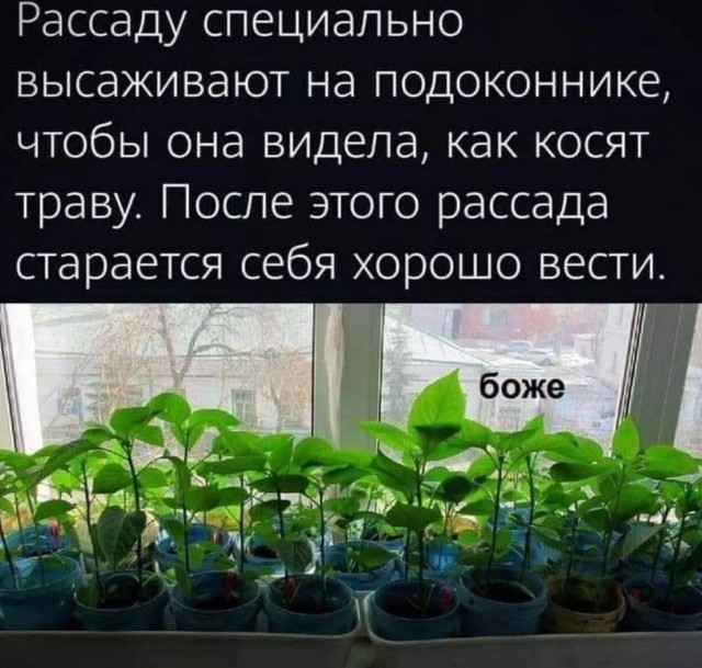 Немного мемчиков. Для взрослых. Часть 16