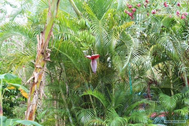 Поездка в Мексику (за деньги)