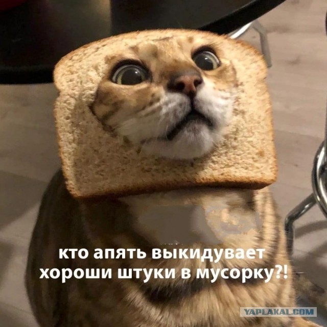 Почему у женатых мужчин появляются любовницы