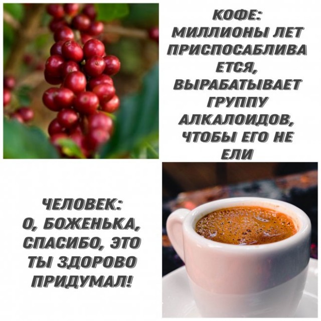 Картинки и мемы, всем хороших выходных