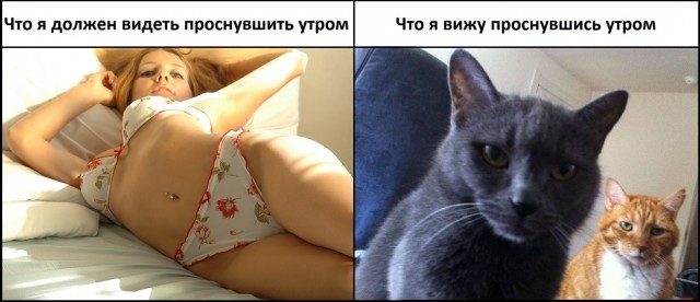 Всего понемногу