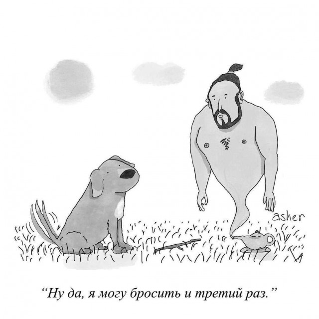 Одна пикча