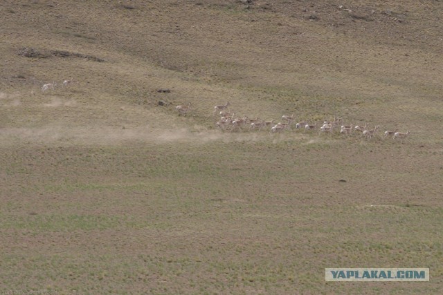 В Монголию на мотоциклах 2006