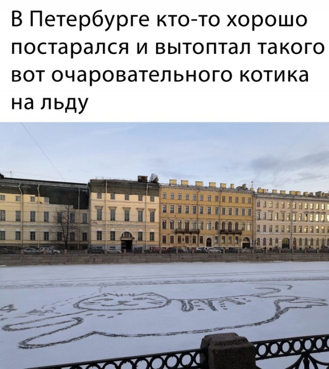 Картинки и мемы, всем хороших выходных