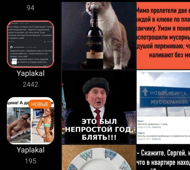 Нуштош 22.03.2023