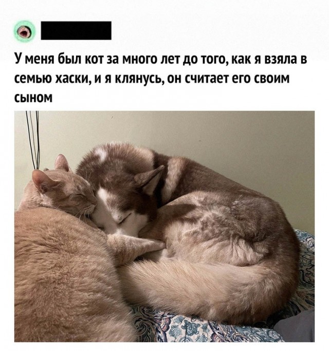Немного картинок для настроения - 161