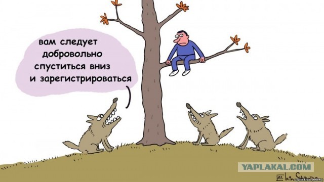 Инспектор захотел провести осмотр багажника