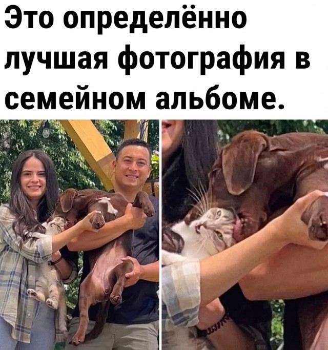 Так себе картинки 30.05.23