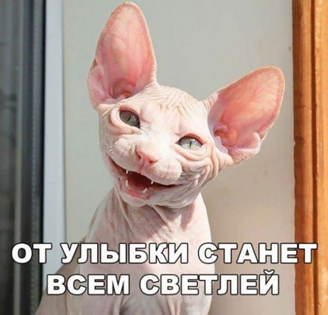 Сколько любовников должно быть у женщины после 50?