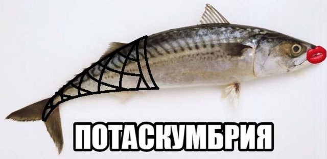 Так себе картинки 17.06.23