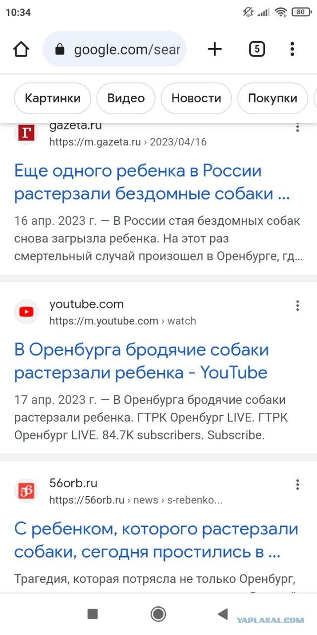 Стали известны подробности спасения мальчика, заблудившегося в тайге