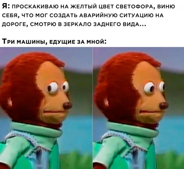 Весёлый полтишок 15.10.23