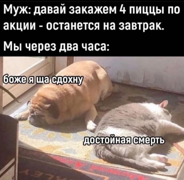 Весёлый полтишок 26.10.23