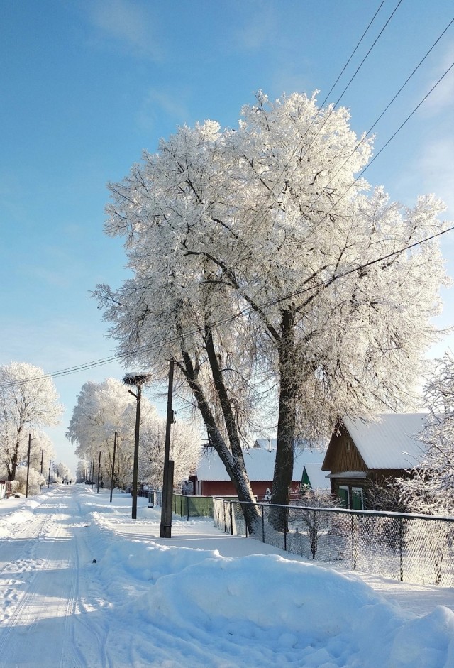 Каникулы в деревне
