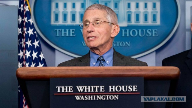 Фаучи признал, что социальная дистанция в пандемию была ничем не обоснована⁠⁠