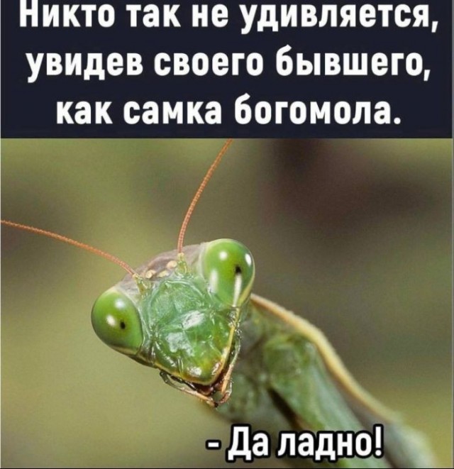 Забавные картинки, шутки из этих ваших интернетов