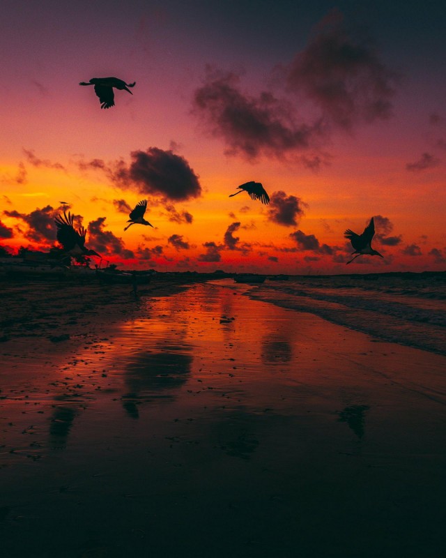 Подборка интересных и веселых картинок 13.02.24