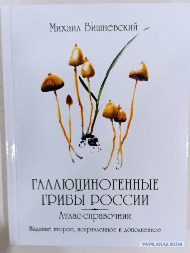 Так себе картинки 14.04.24